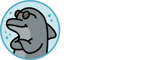 All Everything Dolphin