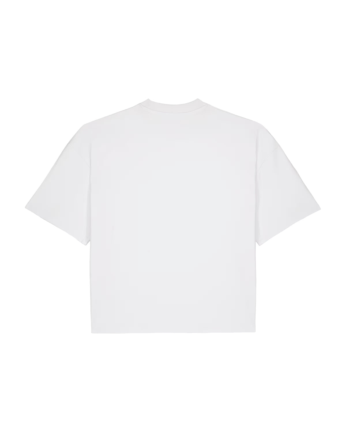 Finley Golphin Big Logo Boxy Fit T-Shirt