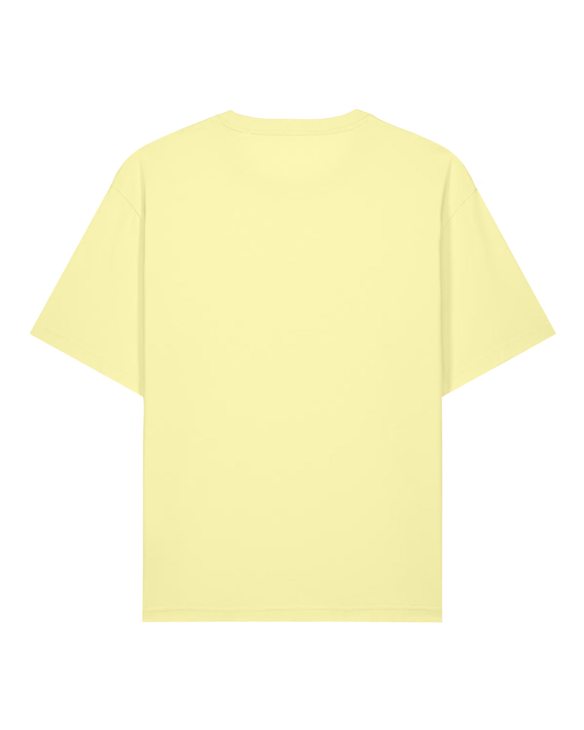 Chiller Whale Lightweight Relaxed Fit T-Shirt