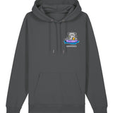 Hammered Hoodie - All Everything Dolphin