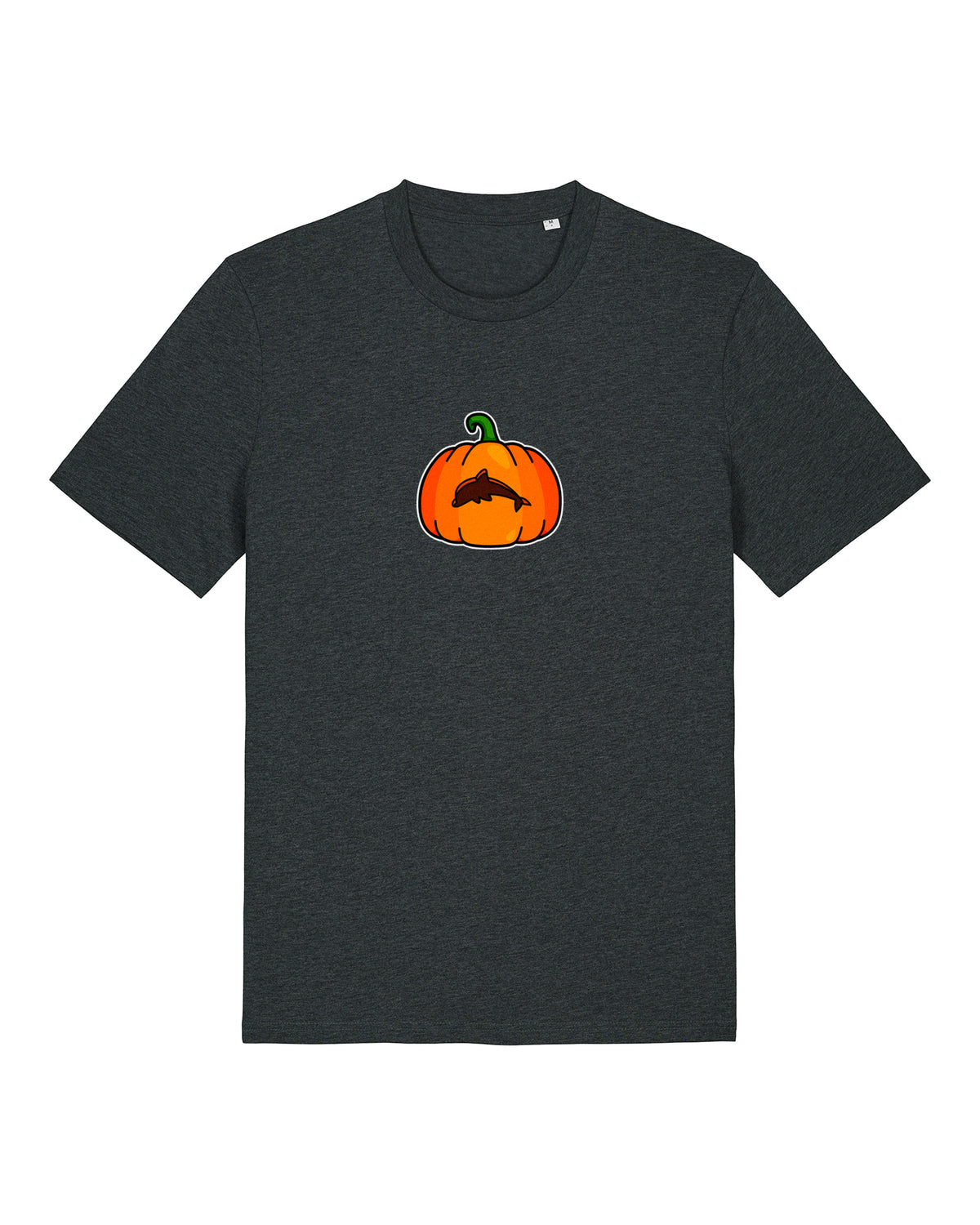 Little Dolphin Pumpkin T-Shirt
