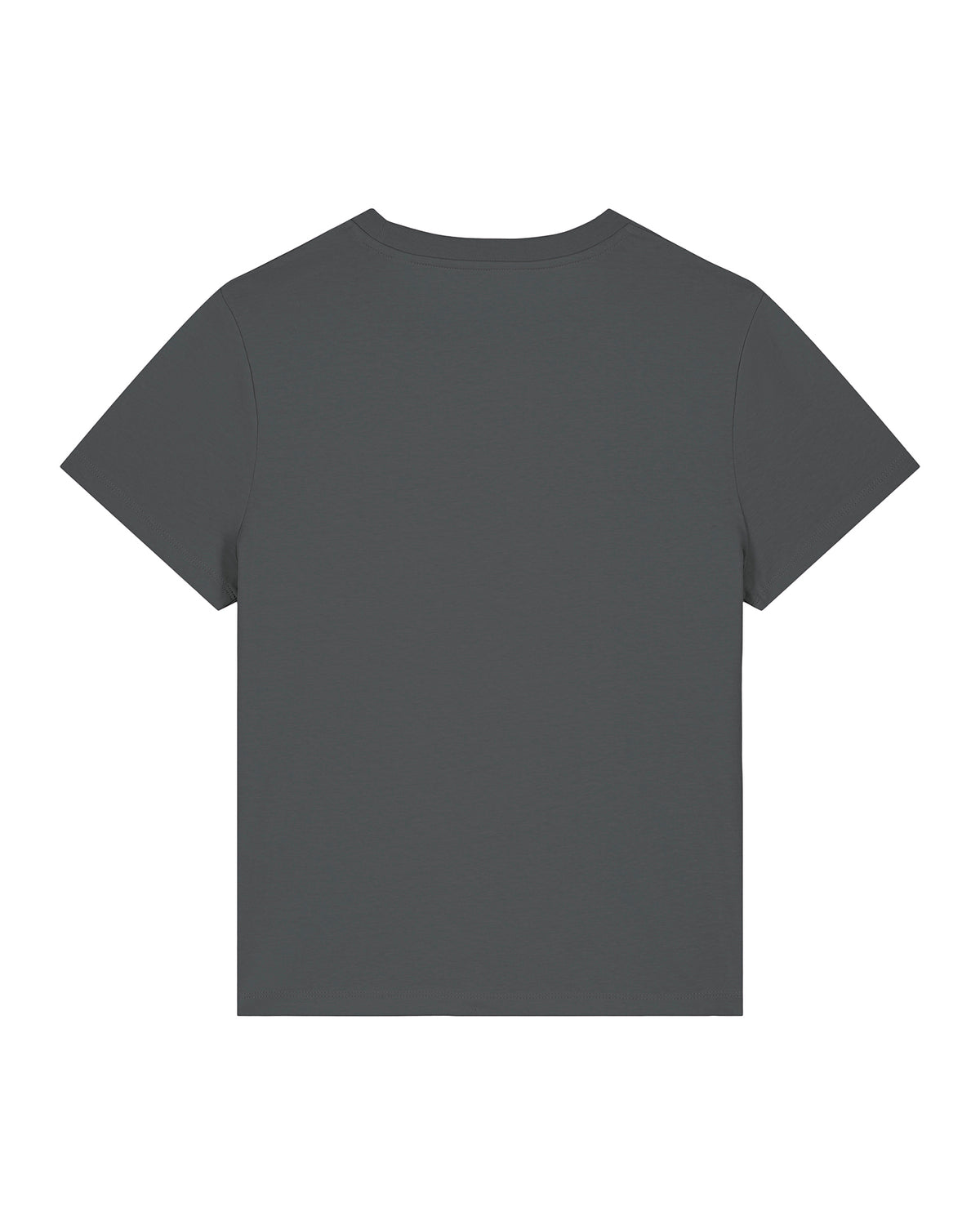 Little Dolphin Pumpkin Women's T-Shirt