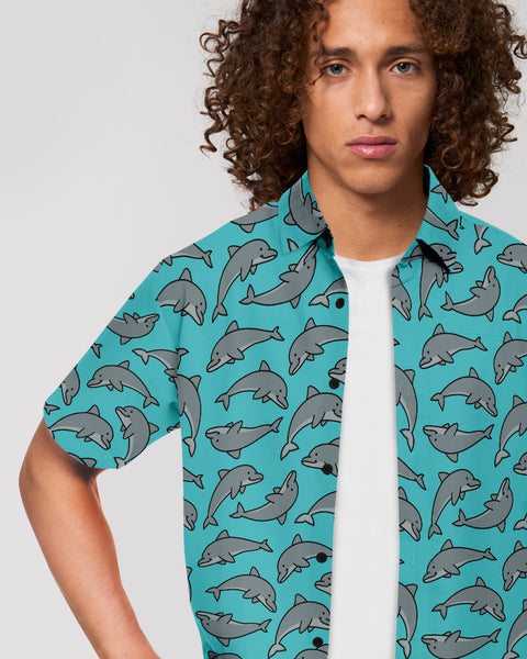 Cool Dolphins – All Everything Dolphin